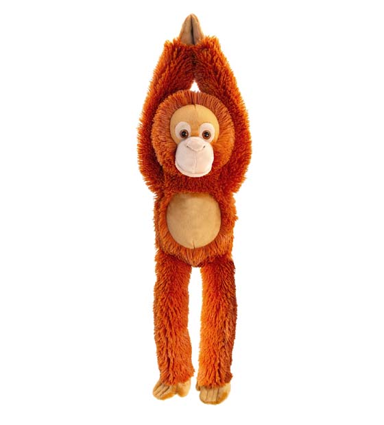 50cm Long Orangutan