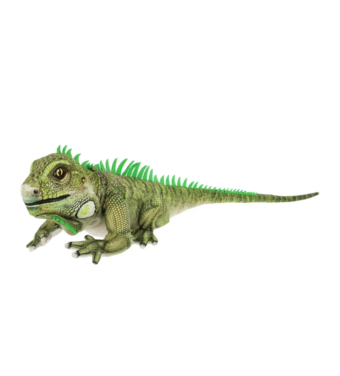 65cm Keeleco Iguana